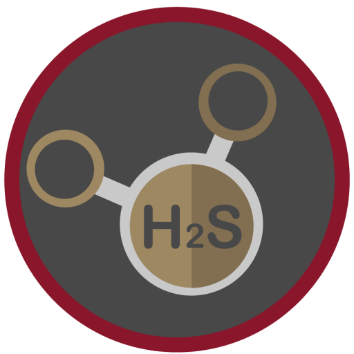 Hydrogen Sulfide Safety Train-the-Trainer (HST)