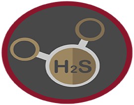 Hydrogen Sulfide Safety (HST): Train-The-Trainer Hydrogen Sulfide Safety (HST): Train-The-Trainer